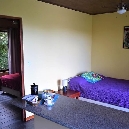 Arenal Villas Tranquilas, Free-Standing Equipped Houses 누에보 아레날 외부 사진