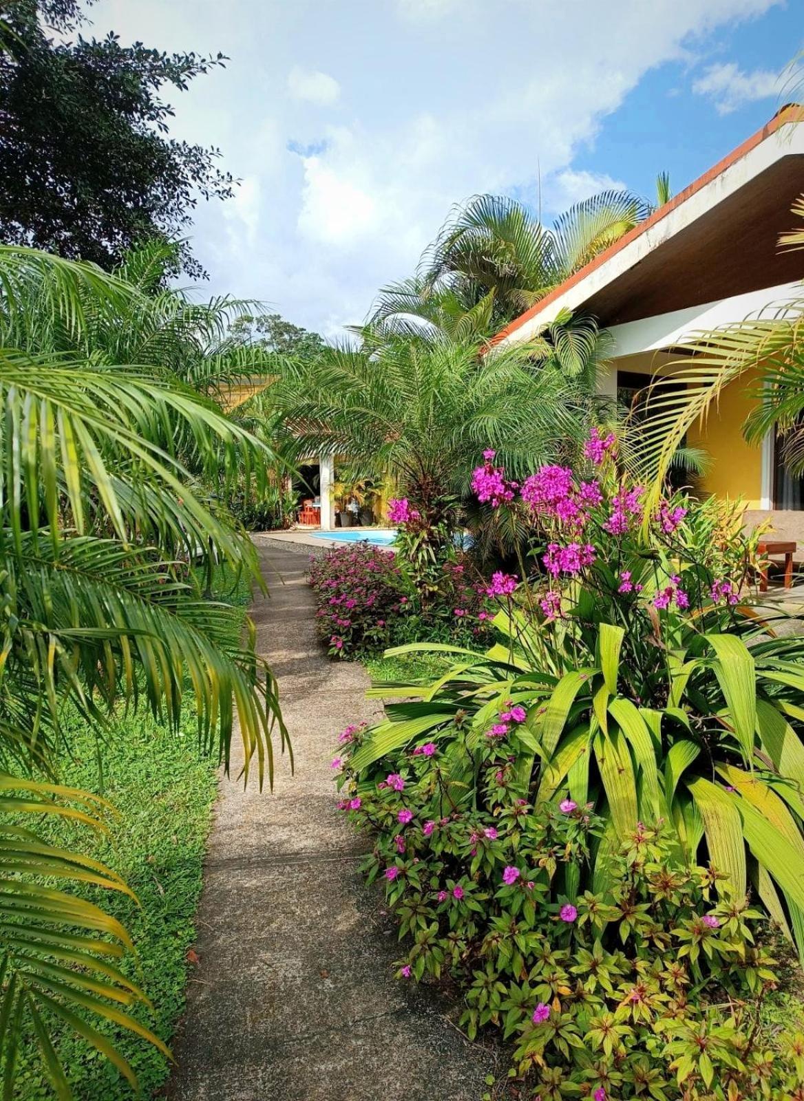 Arenal Villas Tranquilas, Free-Standing Equipped Houses 누에보 아레날 외부 사진
