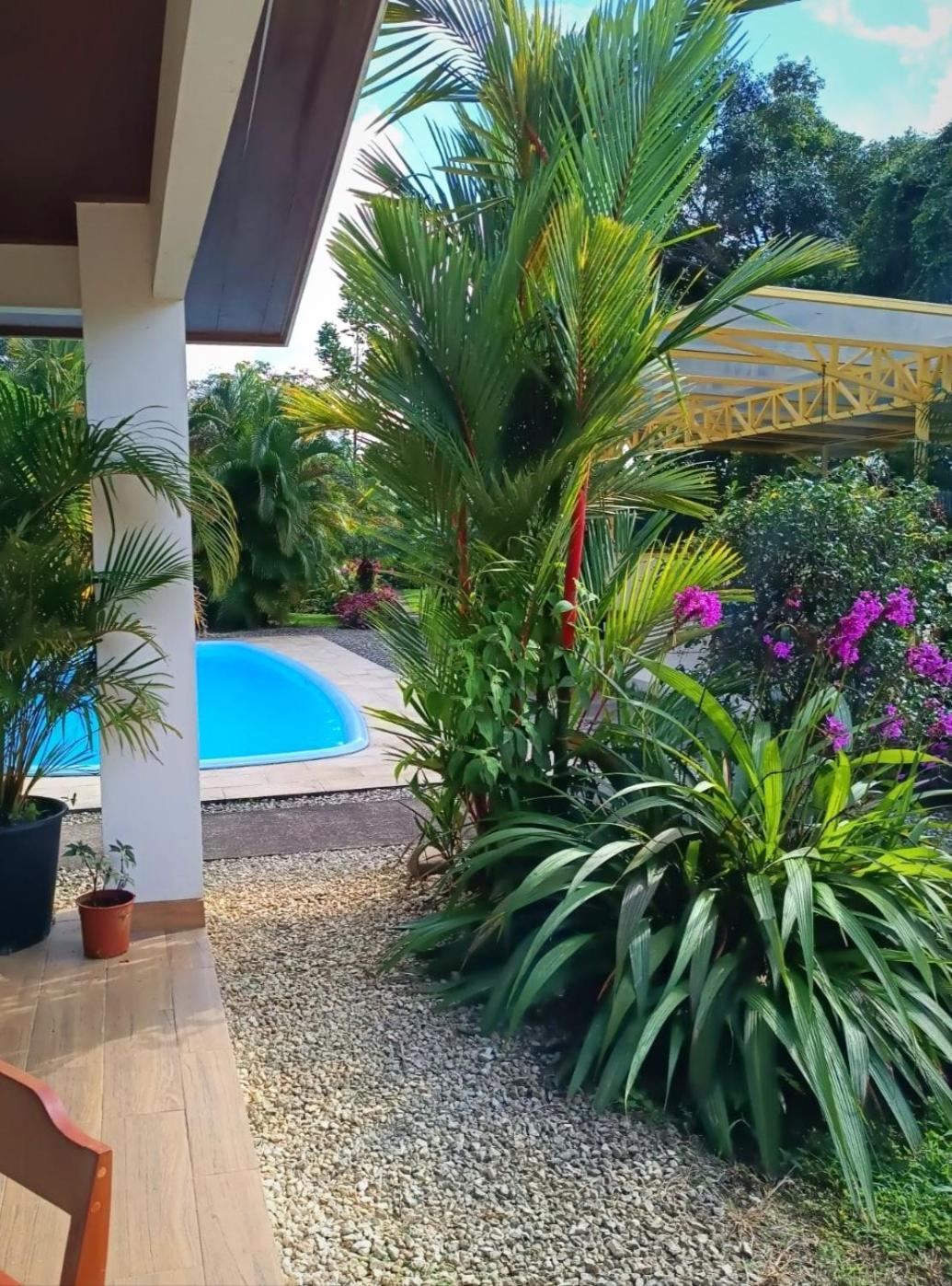 Arenal Villas Tranquilas, Free-Standing Equipped Houses 누에보 아레날 외부 사진